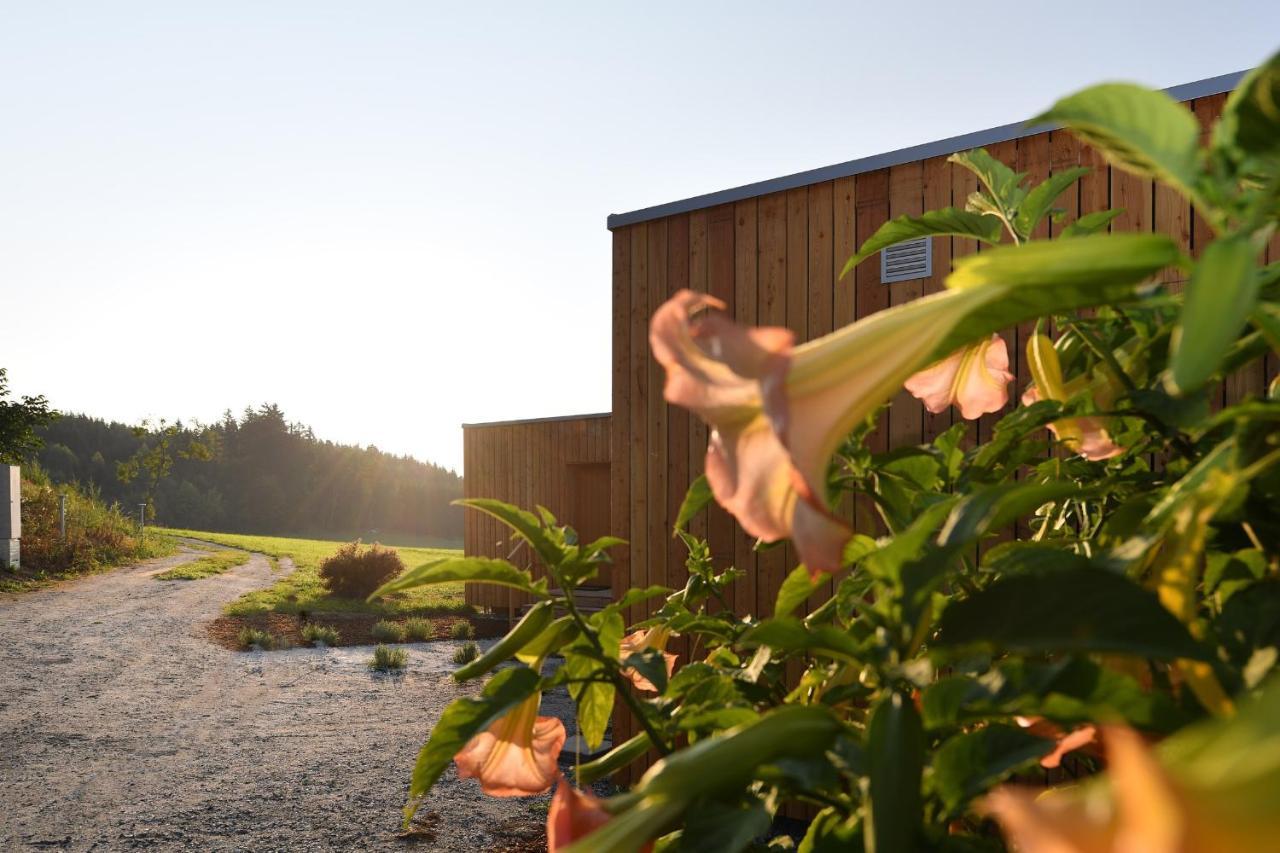 Roo'N Lodges#Kolm Arbesbach Exterior photo